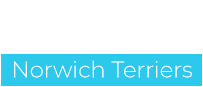 Ascot Norwich Terriers Logo